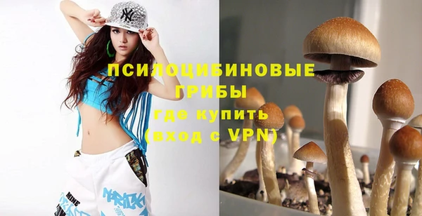 марки nbome Горняк