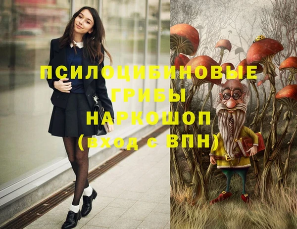 марки nbome Горняк