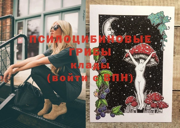 марки nbome Горняк